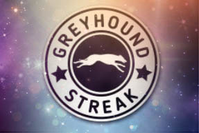 Greyhound Streak