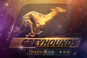 Greyhounds